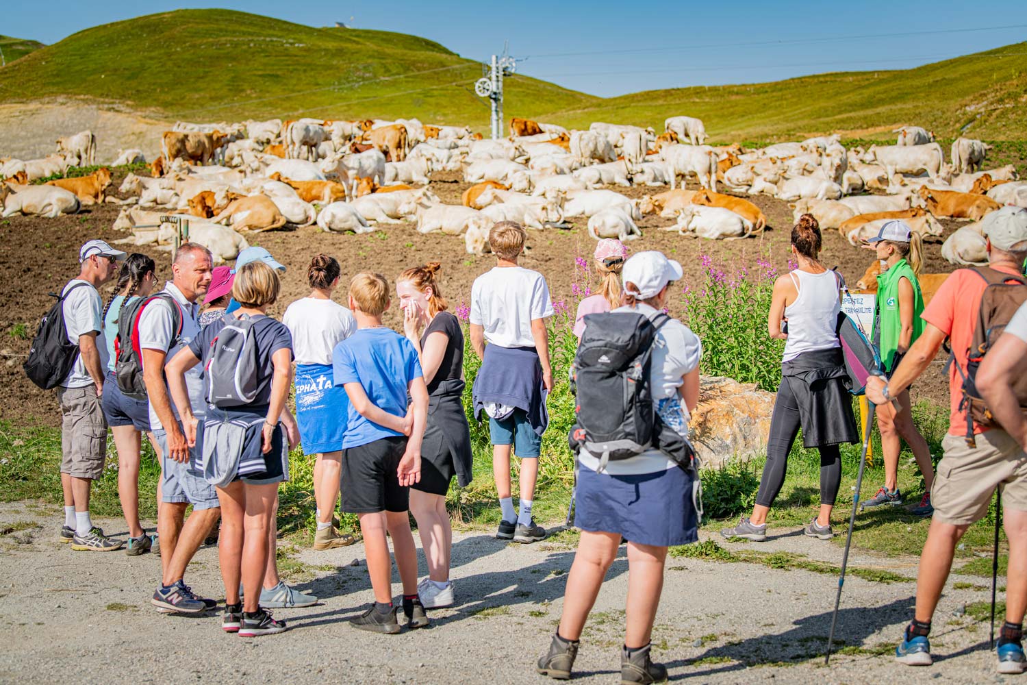 2021-Lionel_Royet-Alpe_dHuez_Tourisme_1556