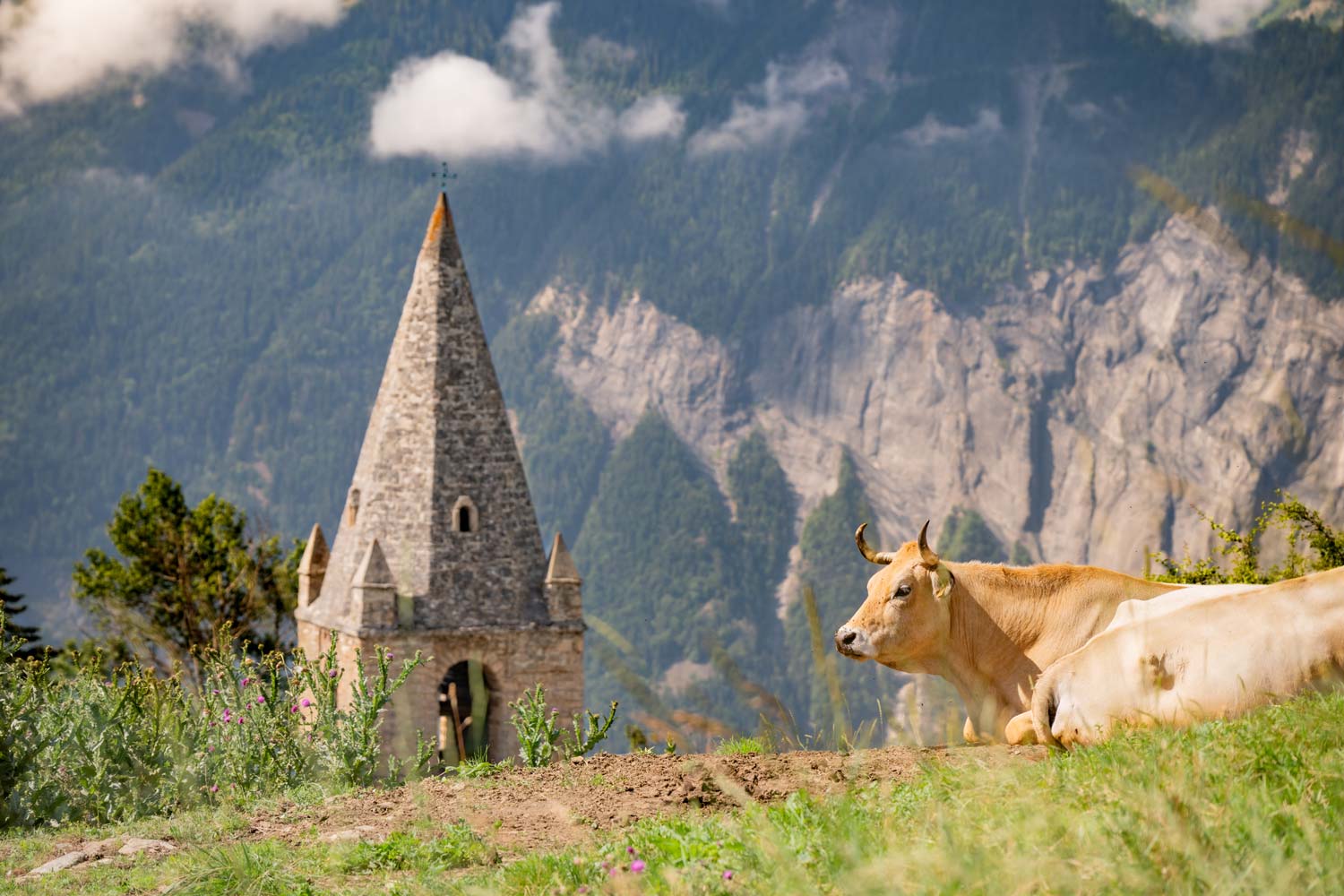2024-Lionel_Royet-OT_Alpe_dHuez_0716_1643